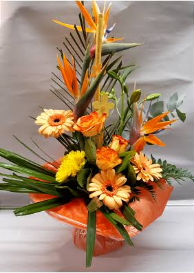 Bouquets Hauteurs