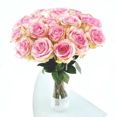Roses Grandes
